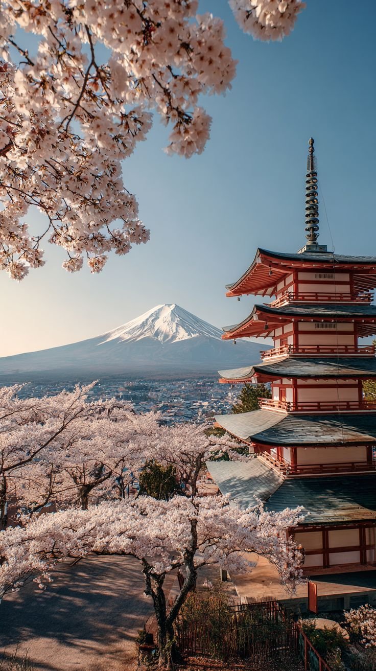 🇯🇵 Our Top Picks for Exploring Tokyo: Must-See Places and Hidden Gems
